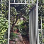 9EAC35C2-4100-4B80-BB7A-3CA02F5CA03E